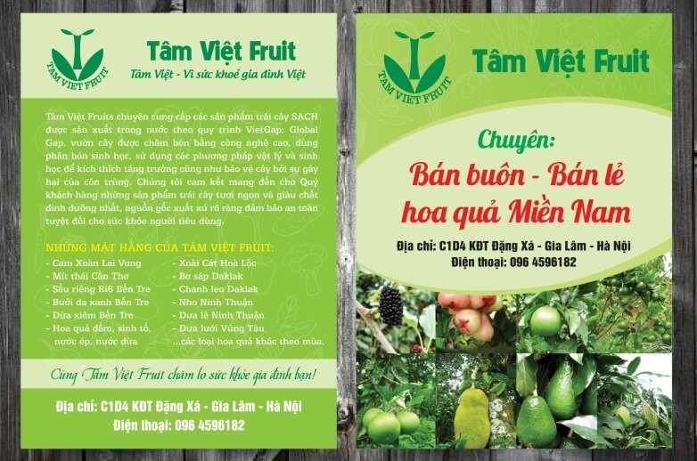 In tờ rơi quảng cáo cho Tâm Việt Fruit